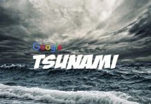 Google Сканер Tsunami – В Открытом Доступе