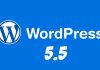 WordPress 5.5 – Обзор новой версии | ИТ Новости Обзор Wordpress 5.5 - Какие изменения получила новая CMS