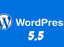 Обзор Wordpress 5.5 - Какие изменения получила новая CMS