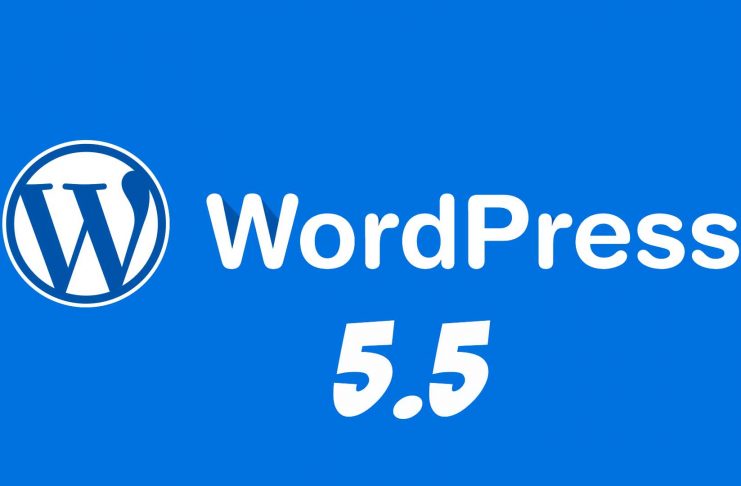 Обзор Wordpress 5.5 - Какие изменения получила новая CMS